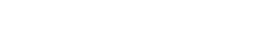 Import, revânzare transfrontalieră, logo-ul CE "soihost" cu un design abstract stilizat cu litere negre și accente albe pe fundal transparent.